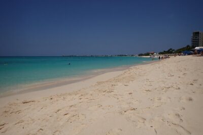 4-Stop Stingray, Snorkel, Star Fish & 7 Mile Beach (Family Owned) - Price and value: what $85 really buys you