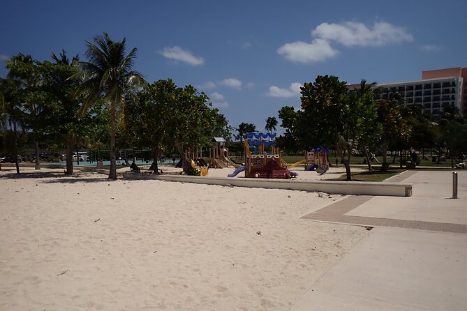 4-Stop Stingray, Snorkel, Star Fish & 7 Mile Beach (Family Owned) - Stop 3: Coral Gardens or Barrier Reef snorkeling—beginner-friendly, weather-dependent