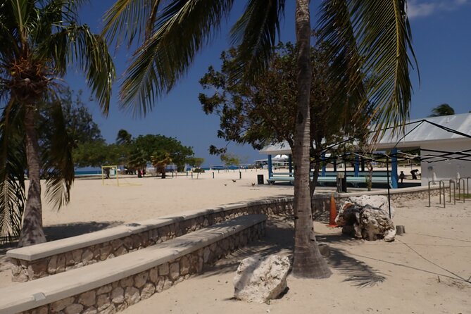 4-Stop Stingray, Snorkel, Star Fish & 7 Mile Beach (Family Owned) - The vibe on board: group size, crew energy, and how guides help