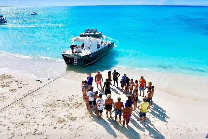 4hour Group Half Day Snorkeling Excursion in Grace Bay - Little Water Cay (Iguana Island): the beach break that resets your day