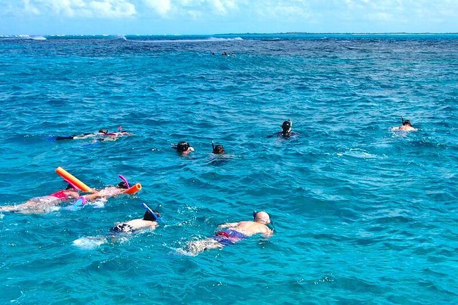4hour Group Half Day Snorkeling Excursion in Grace Bay - Getting on the water: pickup, meeting point, and first views