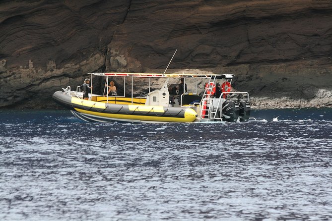 5 Hour Molokini Snorkel & Turtle Tour in Maui - Key things to know before you go