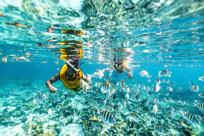 5-in-1 Cancun Snorkeling: Turtles, Reef, Musa, Shipwreck, Cenote - The Crew Makes or Breaks the Day: Guides, Safety Rhythm, and Photo Help