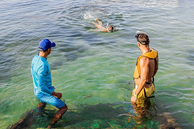5-in-1 Cancun Snorkeling: Turtles, Reef, Musa, Shipwreck, Cenote - Snorkeling Conditions, Boats, and Motion Sickness Reality Checks