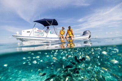 5-in-1 Cancun Snorkeling: Turtles, Reef, Musa, Shipwreck, Cenote - What You’ll See at Each Stop: Reef, Turtles, MUSA, Shipwreck, and Cenote
