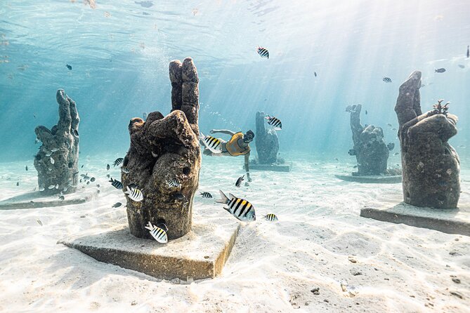 5-in-1 Cancun Snorkeling: Turtles, Reef, Musa, Shipwreck, Cenote - What to Bring So You’re Comfortable, Not Just Thrilled