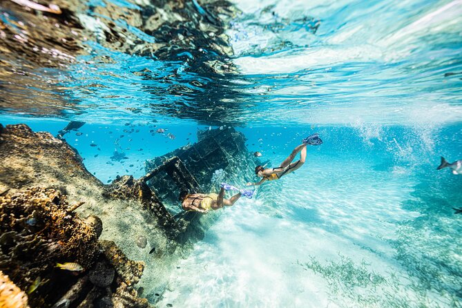 5-in-1 Cancun Snorkeling: Turtles, Reef, Musa, Shipwreck, Cenote - FAQ