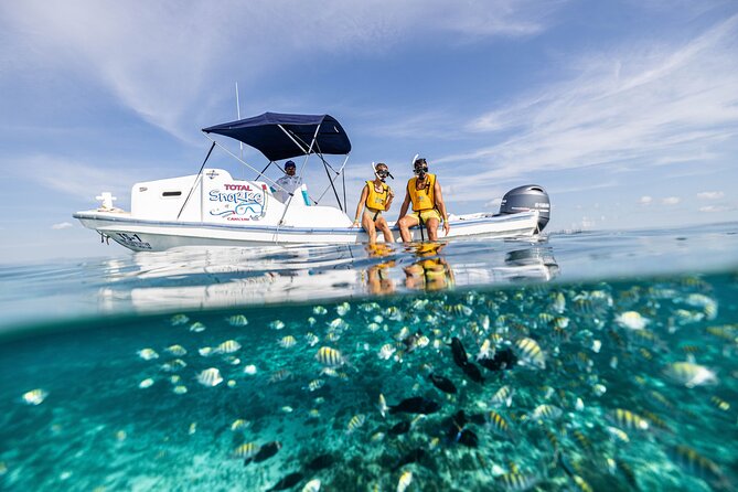 5-in-1 Cancun Snorkeling: Turtles, Reef, Musa, Shipwreck, Cenote - What You’ll See at Each Stop: Reef, Turtles, MUSA, Shipwreck, and Cenote