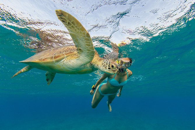 50' Luxury Yacht. Private Full or Half Day Catamaran Snorkel, & Beach Experience - Possible Swim Stops: From Secret Harbour to Scott Bay