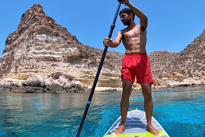 7 hours Boat trip to Lampedusa lunch, SUP and Snorkeling - Sea life sightings: dolphins and turtles, with realistic odds