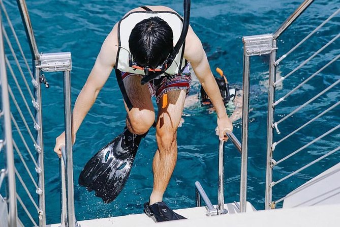 9am Turtle Canyon Snorkel Adventure - Turtle Canyon snorkeling: what makes this reef slot work
