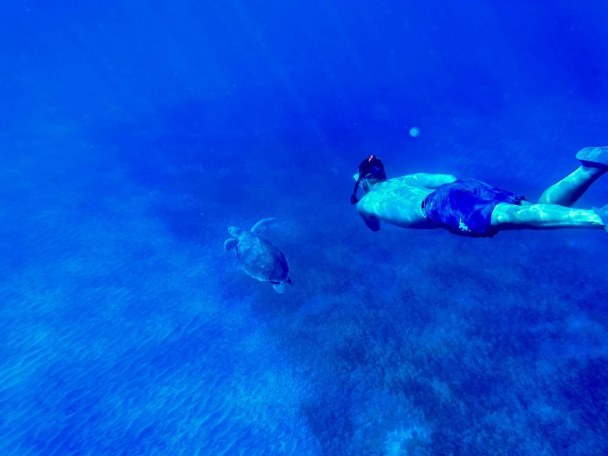 Abades: Guided Snorkeling Tour with Photos - Finding Abades at the Magilu Restaurant: easy meeting, real beach time