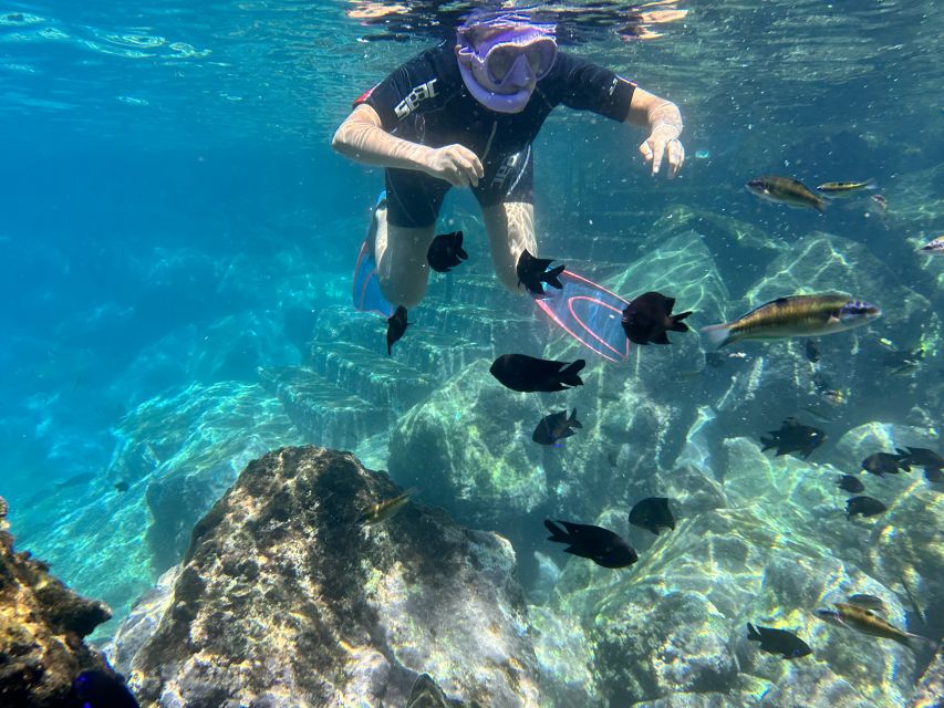 Abades: Guided Snorkeling Tour with Photos - What you’ll see off Playa Abades: fish, reef life, and volcanic rock