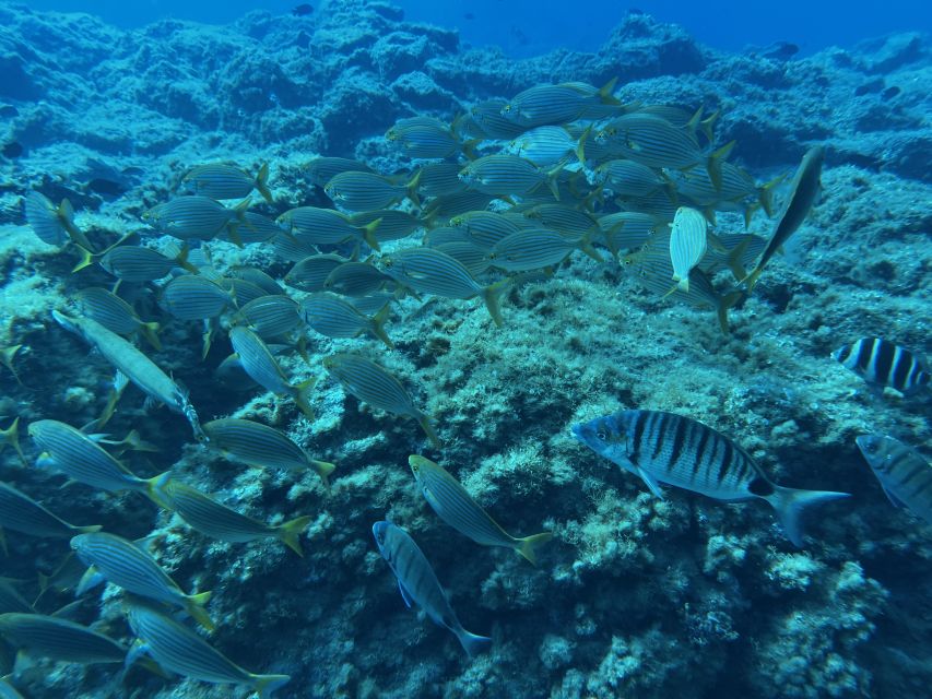Abades: Guided Snorkeling Tour with Photos - Underwater photos and videos: the best souvenir is already included