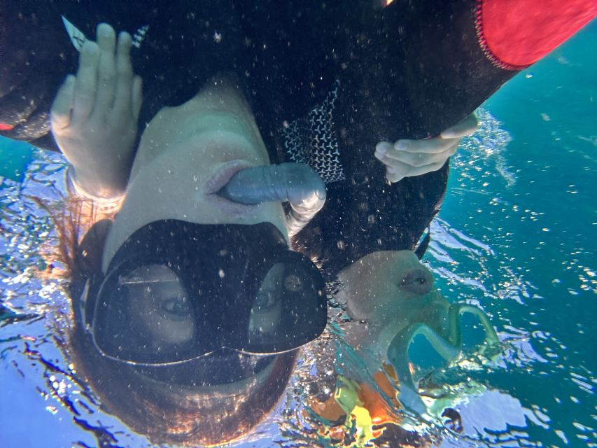 Abades: Guided Snorkeling Tour with Photos - What to bring (and what to avoid)