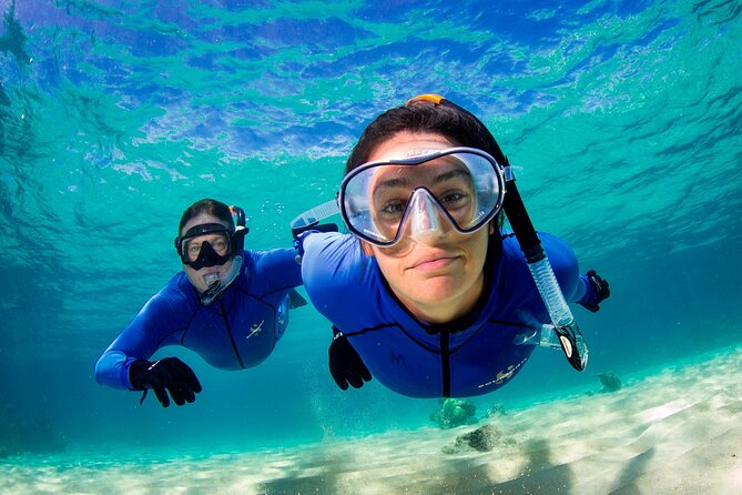 ABC Reef Safaris - In the Water With Guides: Support for First-Timers and Nervous Swimmers