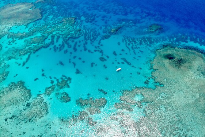 ABC Reef Safaris - Lunch and Drinks: Deli-Style Food That Won’t Derail Your Swim Day
