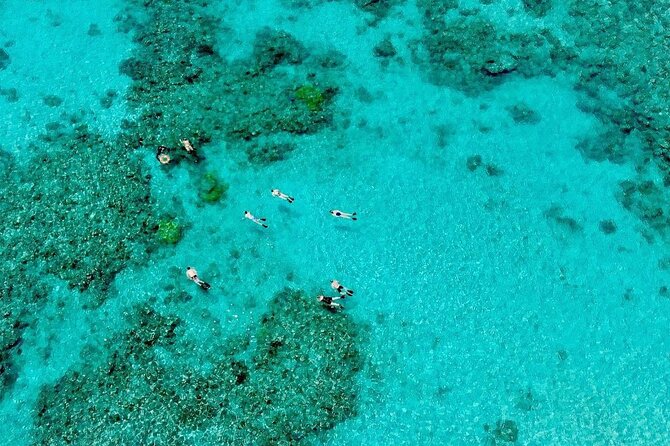 ABC Reef Safaris - Optional GoPro and How Guides Help You Capture the Reef