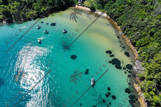 Adrenaline Adventure on Speedboat with 3 stops and Snorkeling - What You Pay: Value vs. Extra Fees (Don’t Get Surprised)