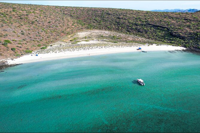 Adventure to Espiritu Santo Island: Snorkel with Sea Lions and Beach - Beach lunch on the sand: ceviche, vegan option, and real downtime