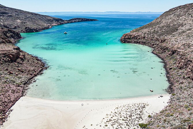 Adventure to Espiritu Santo Island: Snorkel with Sea Lions and Beach - Price and value: is $136.52 worth it?
