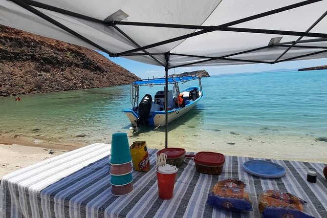 Adventure to Espiritu Santo Island: Snorkel with Sea Lions and Beach - Who this tour is best for (and who should rethink it)