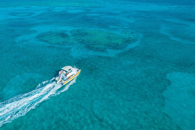 Afternoon Half Day Cruise from Providenciales with Snorkeling and Iguana Island - Key points to know before you go