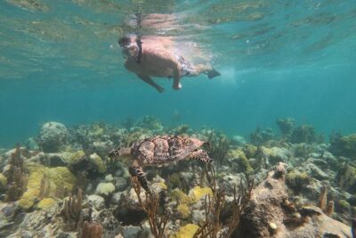 Afternoon Half Day Cruise from Providenciales with Snorkeling and Iguana Island - Snorkeling on one of the world’s biggest reef zones