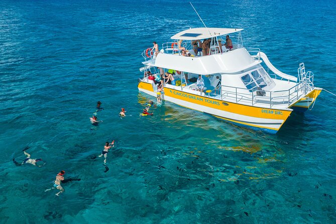 Afternoon Half Day Cruise from Providenciales with Snorkeling and Iguana Island - Crew energy, safety habits, and real help for first-timers