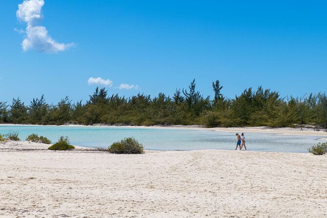 Afternoon Half Day Cruise from Providenciales with Snorkeling and Iguana Island - Small-group feel with a 50-person cap