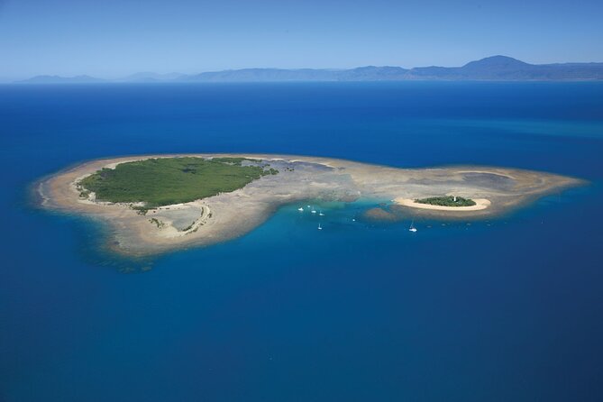 Afternoon Low Isles Snorkelling & Sunset Sail from Port Douglas - Guided Snorkelling: How the Crew Helps You See More Safely