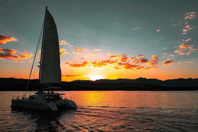 Afternoon Low Isles Snorkelling & Sunset Sail from Port Douglas - Price and Value: Is $243.86 Worth It?