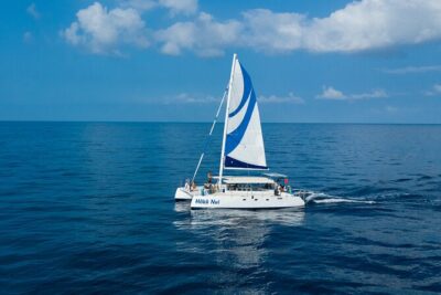 Afternoon Sail & Snorkel to the Captain Cook Monument - The Short Keauhou Bay Stop: Setup and Calming Your Nerves
