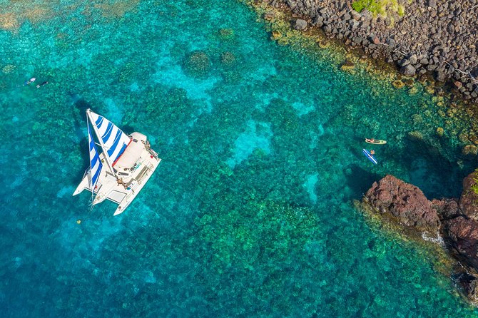 Afternoon Sail & Snorkel to the Captain Cook Monument - Wildlife Possibilities: Dolphins, Whales, and Flying Fish (But Not Guaranteed)