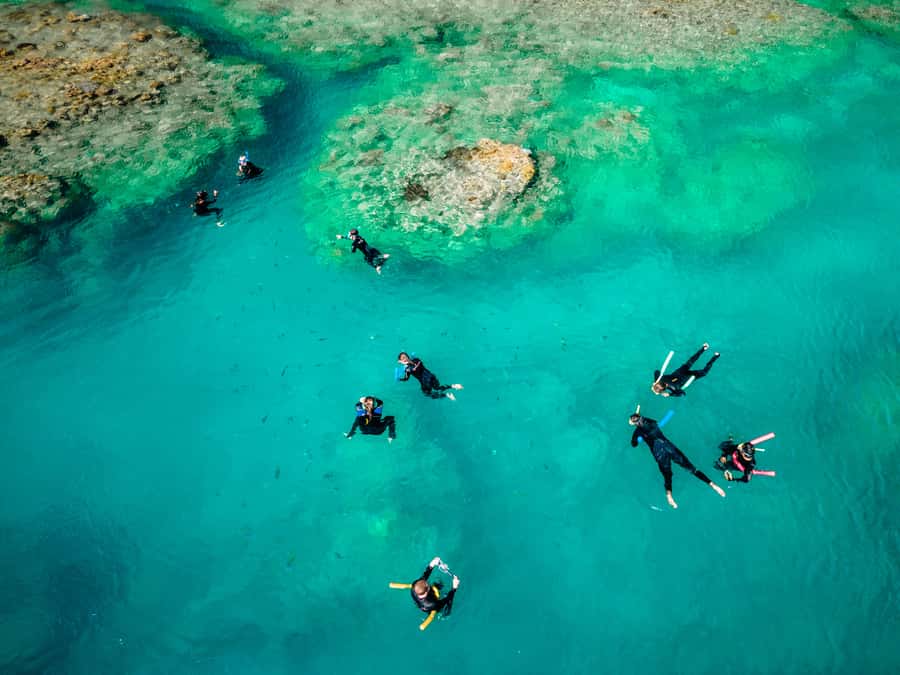 Airlie Beach: 2-Day Whitsunday Islands Sailing Snorkel Tour - Entering the day at Coral Sea Marina: where your “boat life” begins