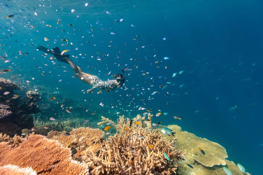 Airlie Beach: Outer Great Barrier Reef Snorkeling Day Trip - Snorkelling Gear and Safety: What You Actually Do in the Water