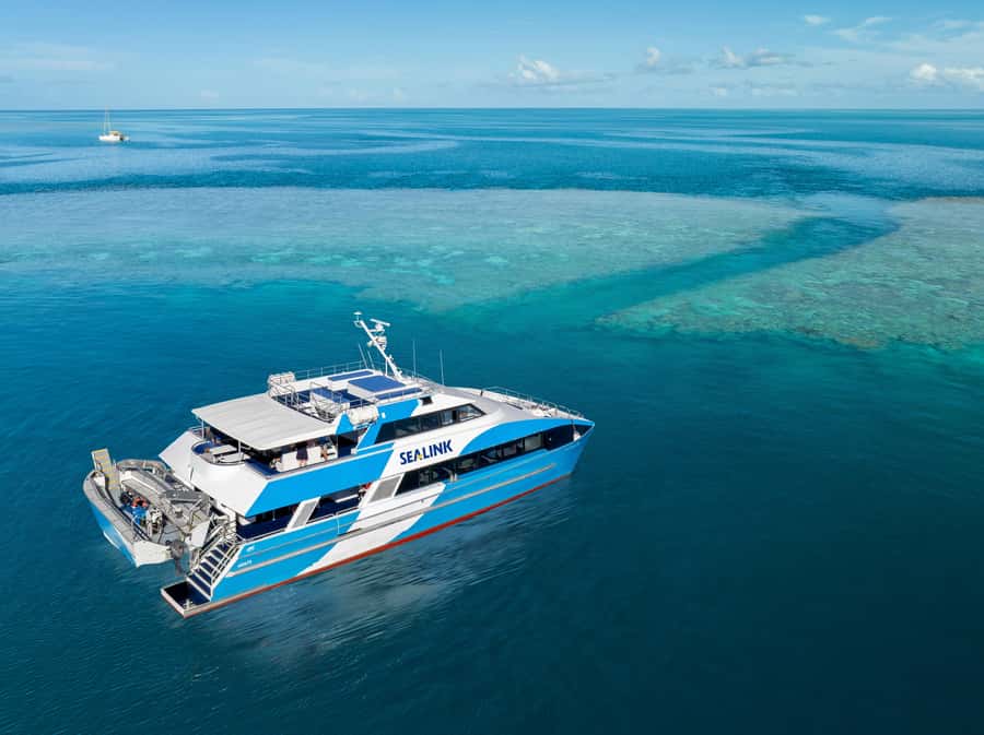 Airlie Beach: Outer Great Barrier Reef Snorkeling Day Trip - What You Might See: Corals, Turtles, Rays, and Winter Humpbacks