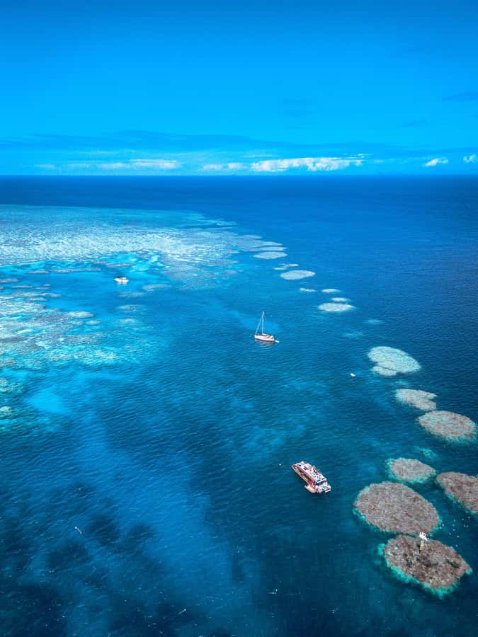 Airlie Beach: Outer Great Barrier Reef Snorkeling Day Trip - Who This Trip Fits Best (and Who Should Rethink)