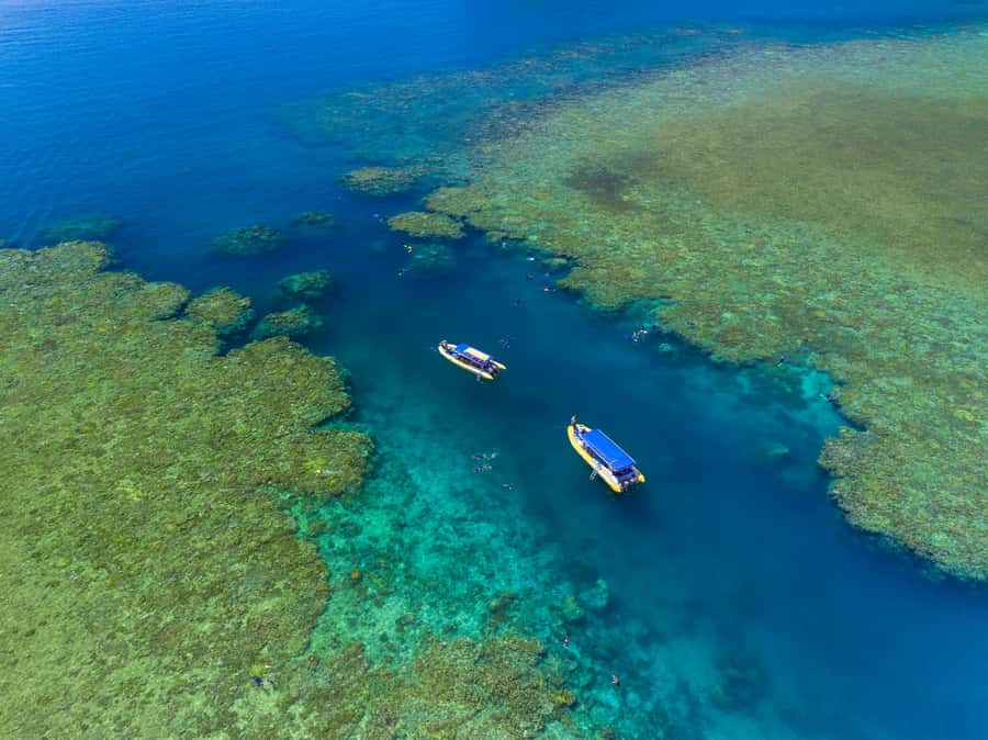 Airlie Beach: Snorkel, Hill Inlet Lookout & Whitehaven Beach - Key highlights I’d circle on your shortlist