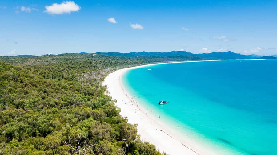 Airlie Beach: Whitehaven Beach Day Tour with Snorkel Option - Who This Tour Suits Best (and Who Should Rethink It)
