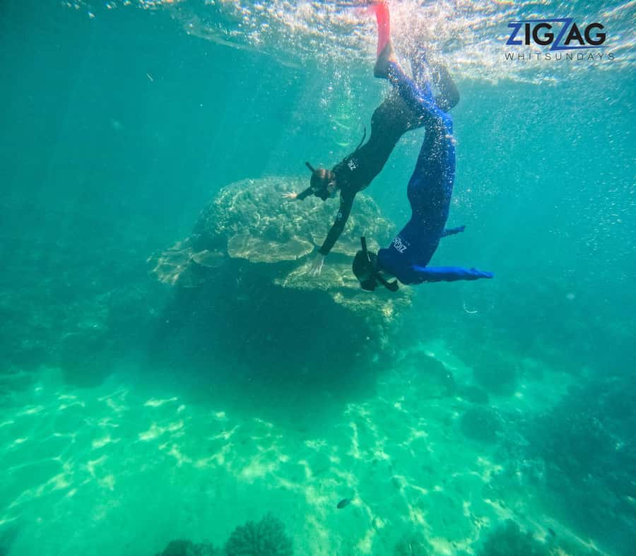 Airlie Beach: Whitehaven Beach Day Tour with Snorkel Option - Why Whitehaven Beach from Airlie Starts Strong