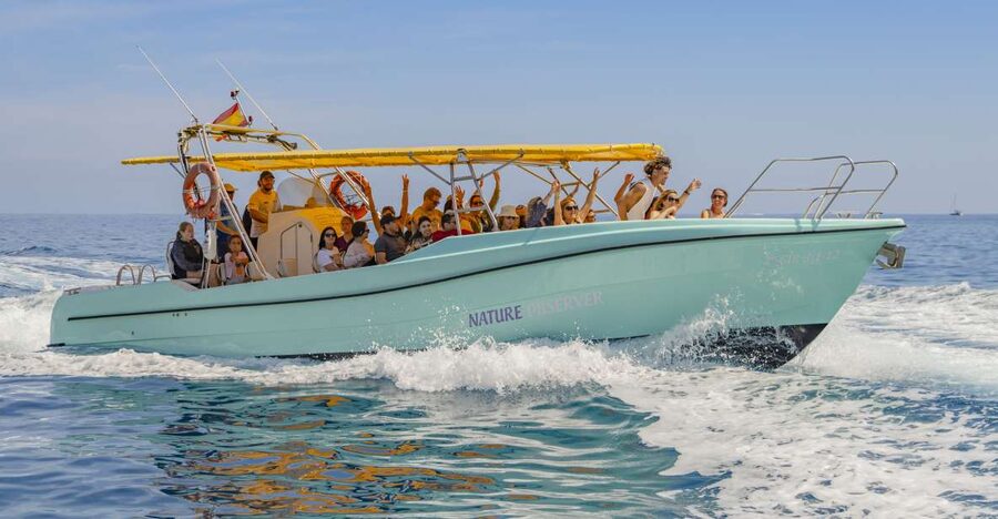 Alcudia: Coll Baix Beach & Sea Caves Cruise with Snorkeling - The first sea stop at Platja del Coll Baix: snorkeling, swimming, and paddleboarding