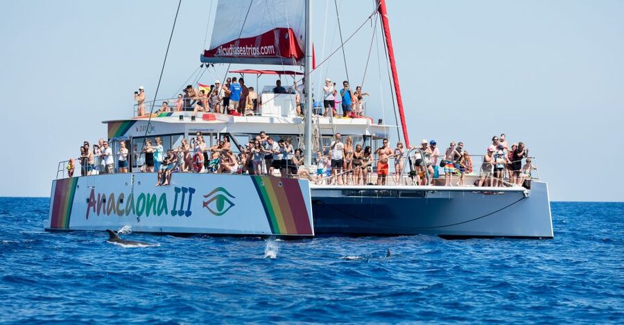 Alcudia: Sunset Catamaran Tour with Dinner and Snorkeling - Sunset Catamaran from Alcúdia: Why This One Works