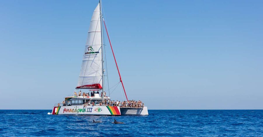 Alcudia: Sunset Catamaran Tour with Dinner and Snorkeling - The Route: North Mallorca Views From the Water