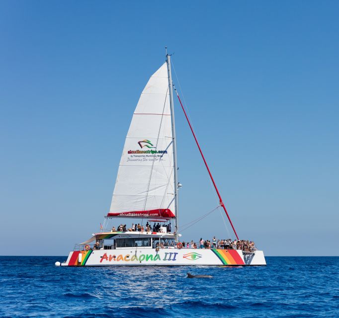 Alcudia: Sunset Catamaran Tour with Dinner and Snorkeling - Practical Tips for a Smoother Evening