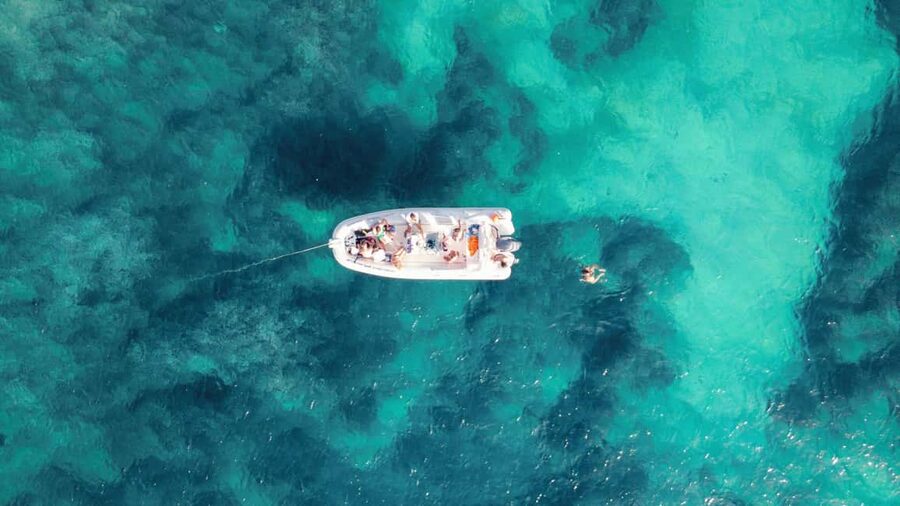 Alghero: Boat Tour with Snorkeling in Porto Conte - Wildlife and nature extras: dolphins, deer, and bird time