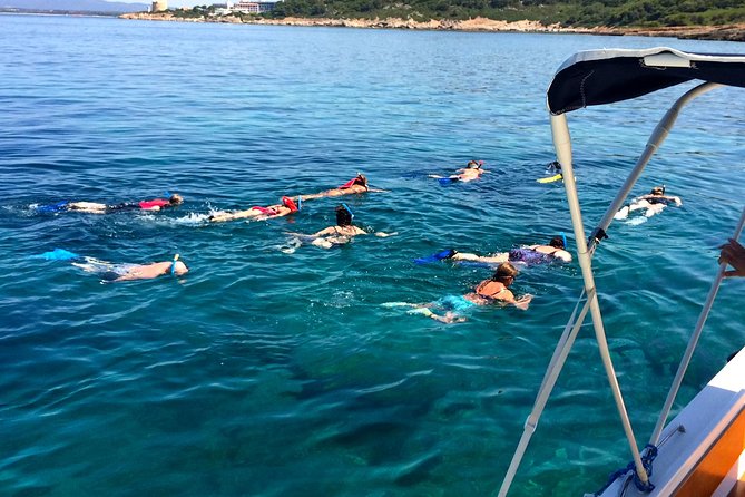 Alghero - Dolphin Watching and Guided Snorkeling (summer tour) - Capo Caccia – Isola Piana: the snorkeling stop you came for