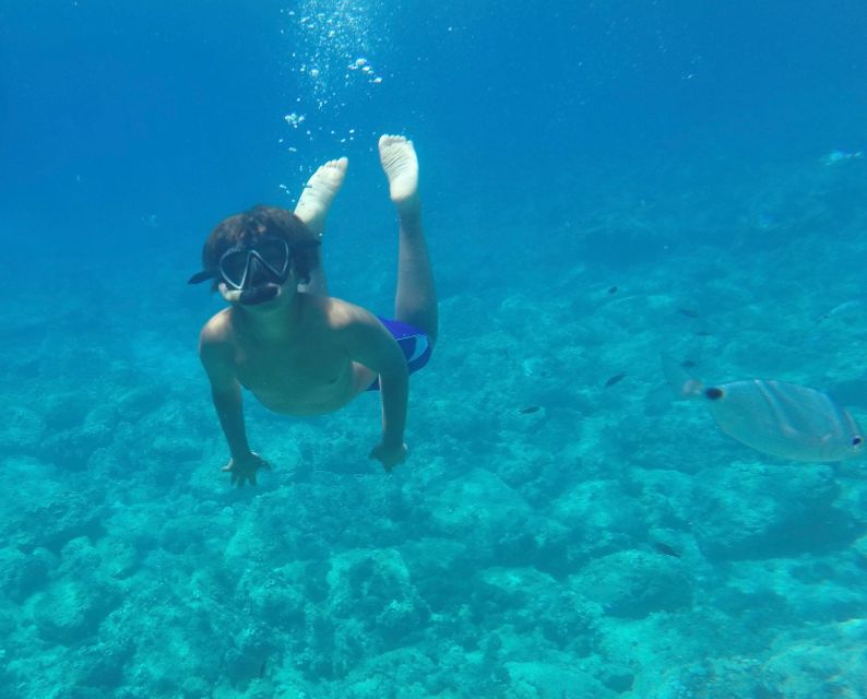Alghero: Snorkeling Boat Tour in Porto Conte and Capo Caccia - Stop 1: Cala Dragunara swimming pools (your first time in the water)