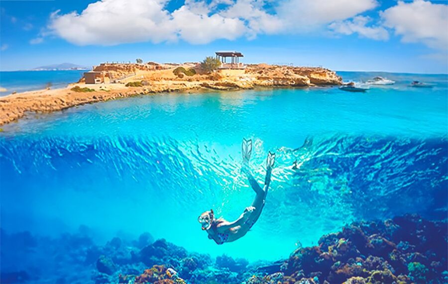 Alicante : E-Bike Coast Tour, Roman Fish Farm and Snorkeling - Key highlights worth centering your day on
