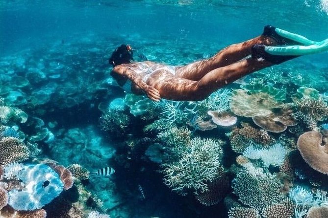 All Inclusive : Bali Blue Lagoon Snorkeling, Lunch, and Transport - Blue Lagoon and Tanjung Jepun in one smooth snorkeling plan